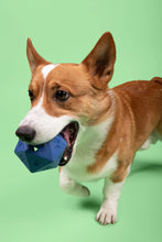 Load image into Gallery viewer, D20 Dog Toy - Treat Dispenser - Blue