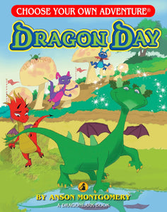 Choose Your Adventure: Dragon Day