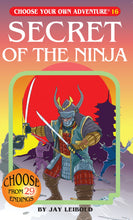 Load image into Gallery viewer, Choose Your Own Adventure: Secret Of The Ninja