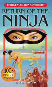 Choose Your Own Adventure: Return Of The Ninja