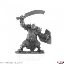 Load image into Gallery viewer, Reaper Miniatures (Bones Assortment)