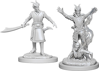 Dungeons & Dragons Nolzur`s Marvelous Unpainted Miniatures: W06 Male Tiefling Warlock