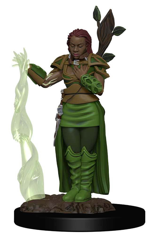 Dungeons & Dragons: Icons of the Realms Premium Figures W02 Human Female Druid