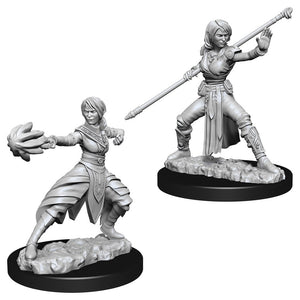 D&D: Nolzur’s Marvelous Miniatures: Female Half-Elf Monk W10