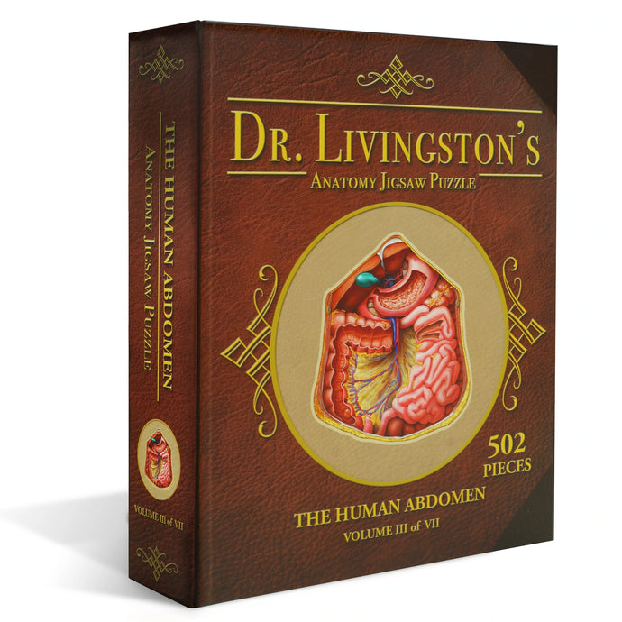 Puzzle: Human Abdomen Anatomy Jigsaw Puzzle | Dr Livingston's Unique Shaped Science Puzzles, Accurate Medical Illustrations of the Body, Organs, Stomach, Liver and Intestines