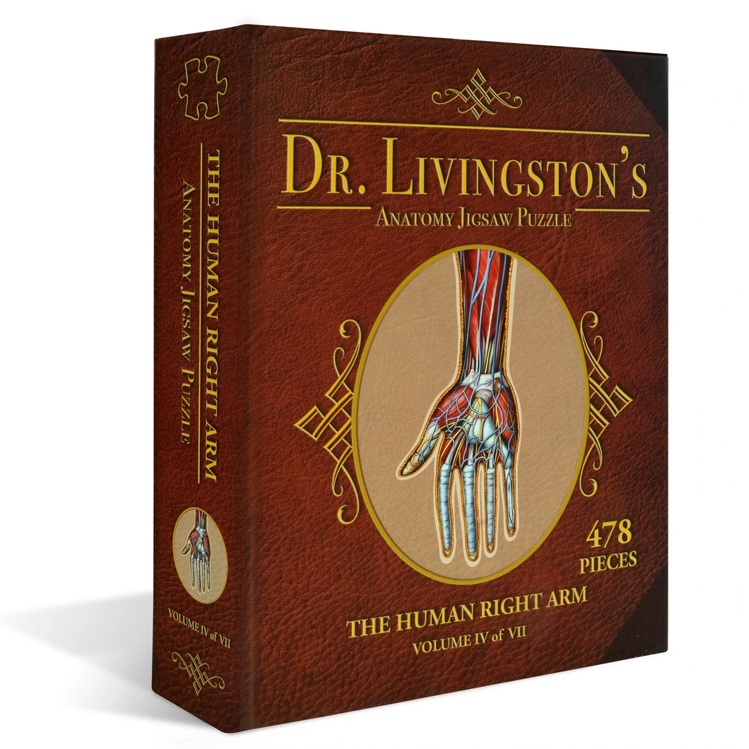 Puzzle: Right Arm Anatomy Jigsaw Puzzle | Dr Livingston's Unique Shaped Science Puzzles, Accurate Medical Illustrations of the Body, Biceps, Elbow, Wrists and Hands