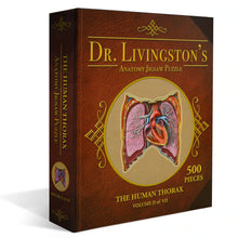 Load image into Gallery viewer, Puzzle: Human Thorax Anatomy Jigsaw Puzzle | Dr Livingston&#39;s Unique Shaped Science Puzzles, Accurate Medical Illustrations of the Body, Organs, Lungs and Heart