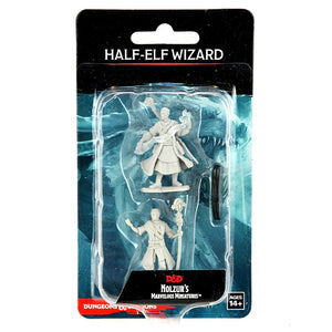 D&D: Nolzur’s Marvelous Miniatures: Half-Elf Wizard Male W14