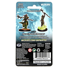 Load image into Gallery viewer, Dungeons &amp; Dragons Nolzur`s Marvelous Unpainted Miniatures: W14 Human Druid Female