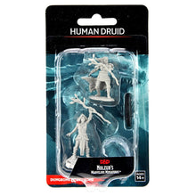 Load image into Gallery viewer, Dungeons &amp; Dragons Nolzur`s Marvelous Unpainted Miniatures: W14 Human Druid Female