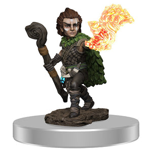 Pathfinder Battles Premium Painted Figure: Male Gnome Druid